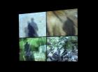 \'Waste Land\' installation, Scott Building, University of Plymouth, January 2010